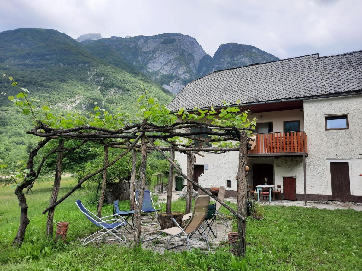 Stara Hisa Apartman Log Cezsoski Kültér fotó